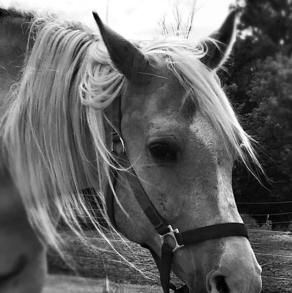 Meet your Posher, Jenny - Picture 3 of 7